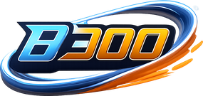 b300